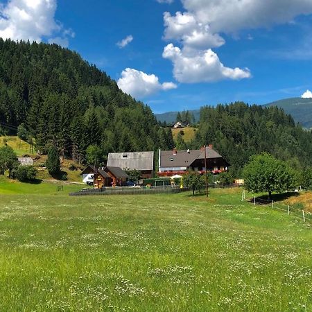 Haus Edlinger Inclusive Murau Sommer Gaeste Card Sankt Georgen ob Murau Ngoại thất bức ảnh