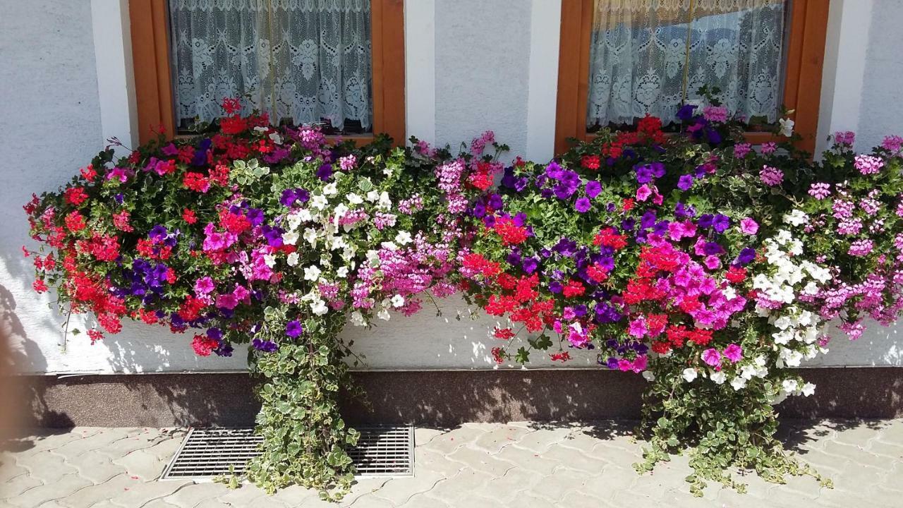 Haus Edlinger Inclusive Murau Sommer Gaeste Card Sankt Georgen ob Murau Ngoại thất bức ảnh